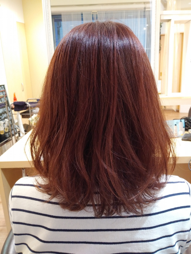スタッフ メンテナンス 板橋区でヘアカラーをお手頃価格で通える美容室 Ichgo大山 イチゴ大山 グレイカラー 白髪染め エヌドット イルミナカラー トキオトリートメント リンケージ ヘアカットが安い スタッフ メンテナンス 板橋区でヘアカラーをお手頃価格で通える美容室 Ichgo大山 イチゴ大山 グレイカラー 白髪染め エヌドット イルミナカラー トキオトリートメント リンケージ ヘアカットが安い